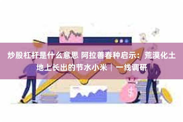 炒股杠杆是什么意思 阿拉善春种启示：荒漠化土地上长出的节水小米│一线调研