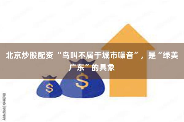 北京炒股配资 “鸟叫不属于城市噪音”，是“绿美广东”的具象