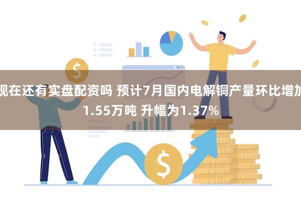 现在还有实盘配资吗 预计7月国内电解铜产量环比增加1.55万