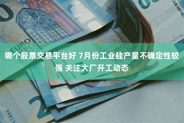 哪个股票交易平台好 7月份工业硅产量不确定性较强 关注大厂开